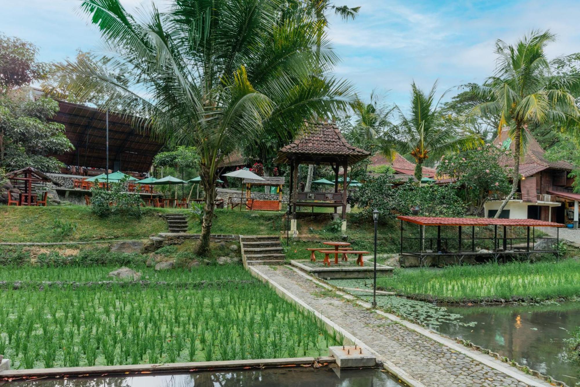 Padi Heritage Hotel Malang Ngoại thất bức ảnh